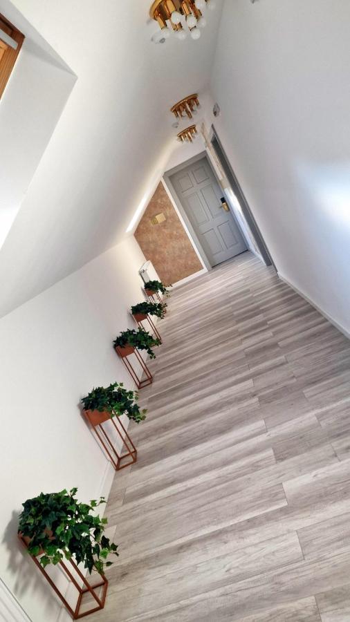 Bed and Breakfast Colt De Rai Resita Zewnętrze zdjęcie